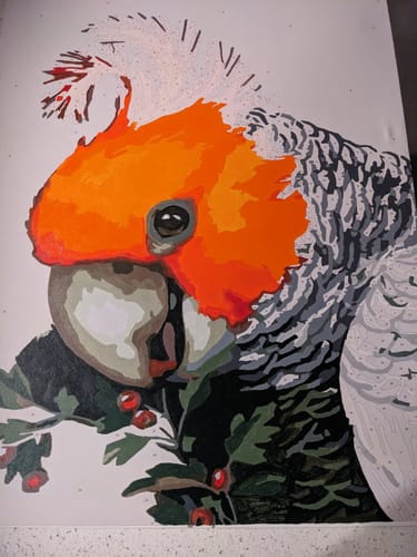 Customer photo review of Gang Gang