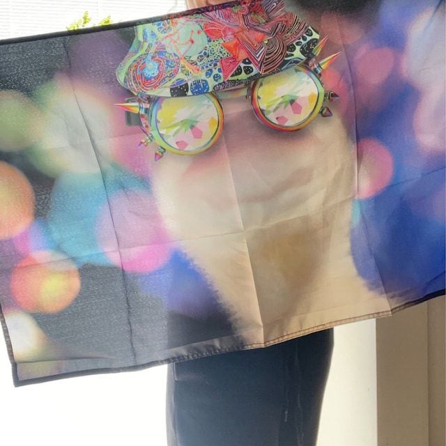 Customer photo review of Custom Standard Flags