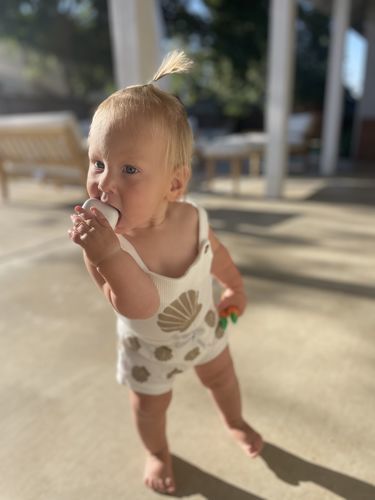 Customer photo review of Seashell Set