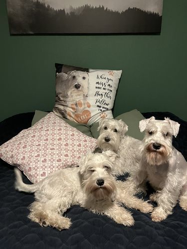 Customer photo review of When you miss me - Personalized pillow