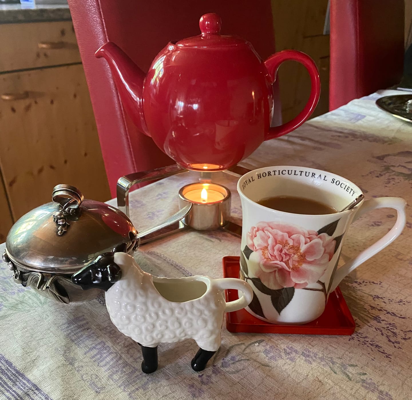 Customer photo review of Rooibos Choicest Bio