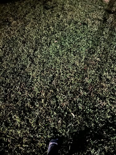 Customer photo review of City silicone tote bag - Frapp