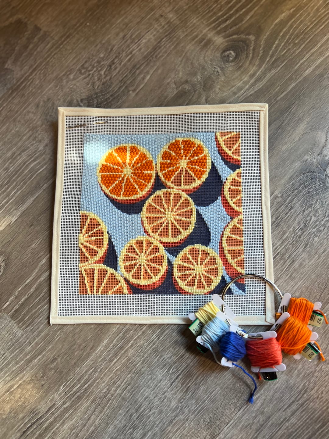 Customer photo review of Agrumes Needlepoint Kit