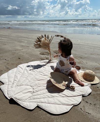 Customer photo review of Seashell Set