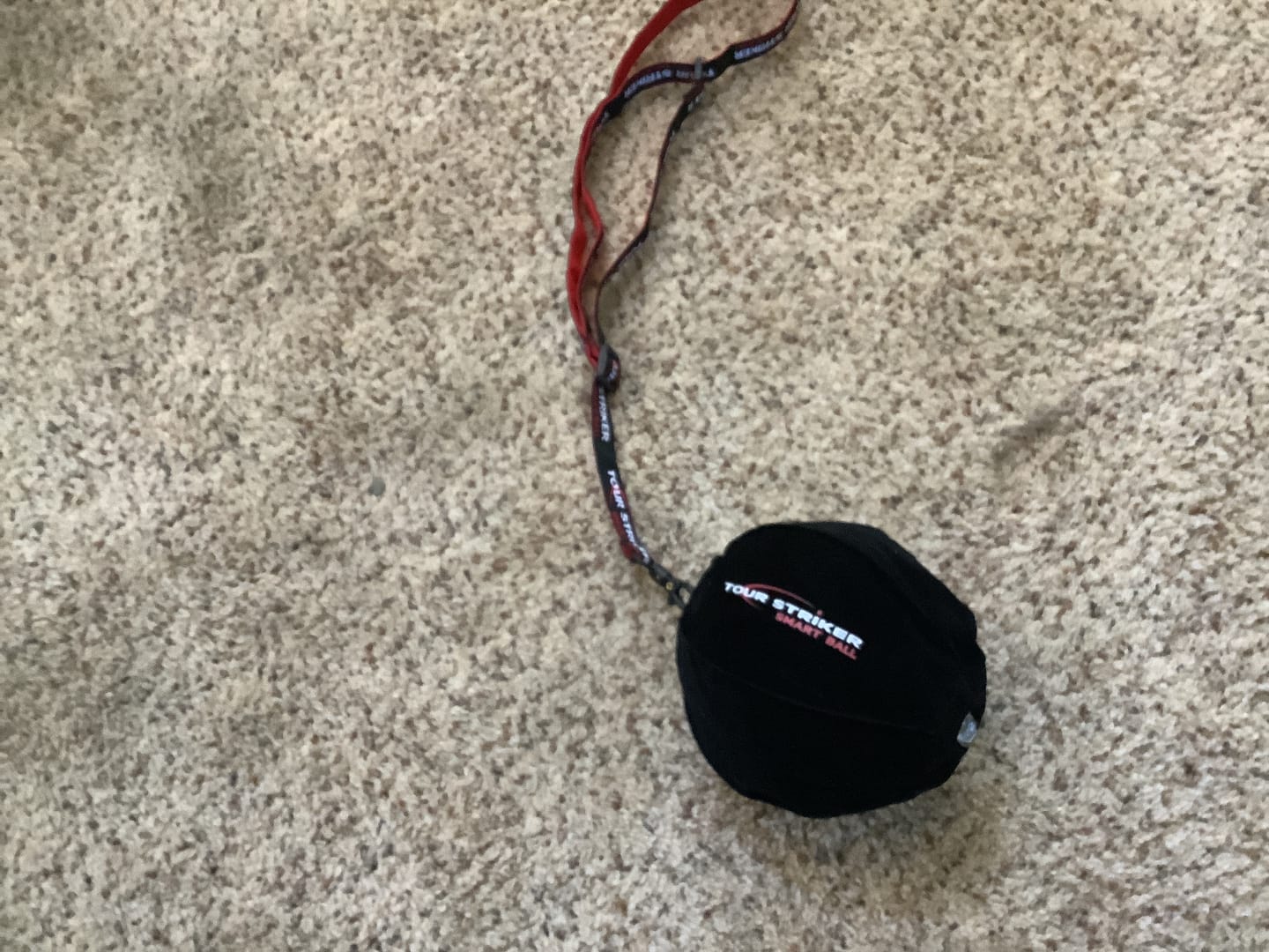 Customer photo review of Smart Ball