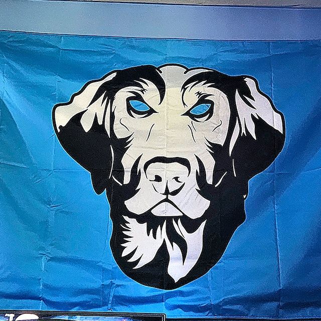 Customer photo review of Custom Standard Flags