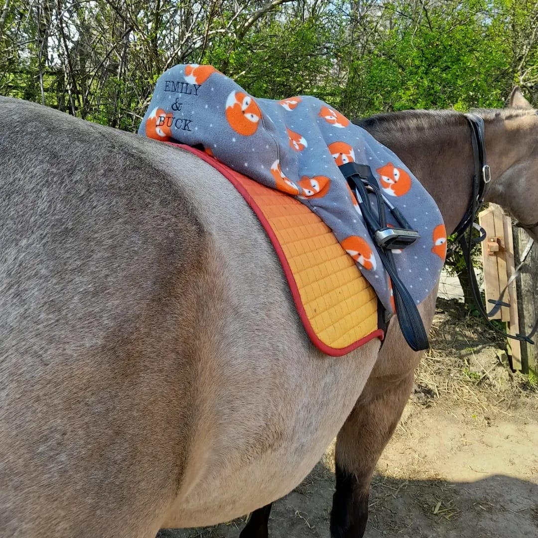 Customer photo review of Sleeping Foxes Anti Pill Polar Fleece Fabric