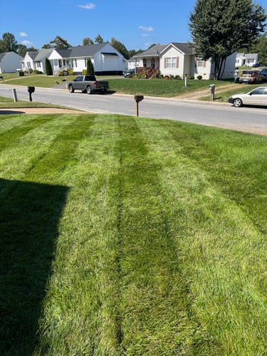 Customer photo review of Protene Performance Fall Fertilizer