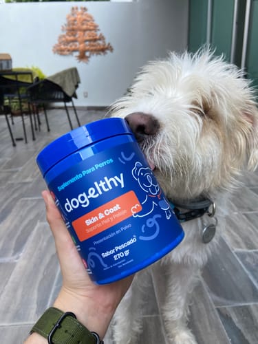 Customer photo review of Skin & Coat