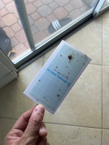 Customer photo review of 20% CashBack