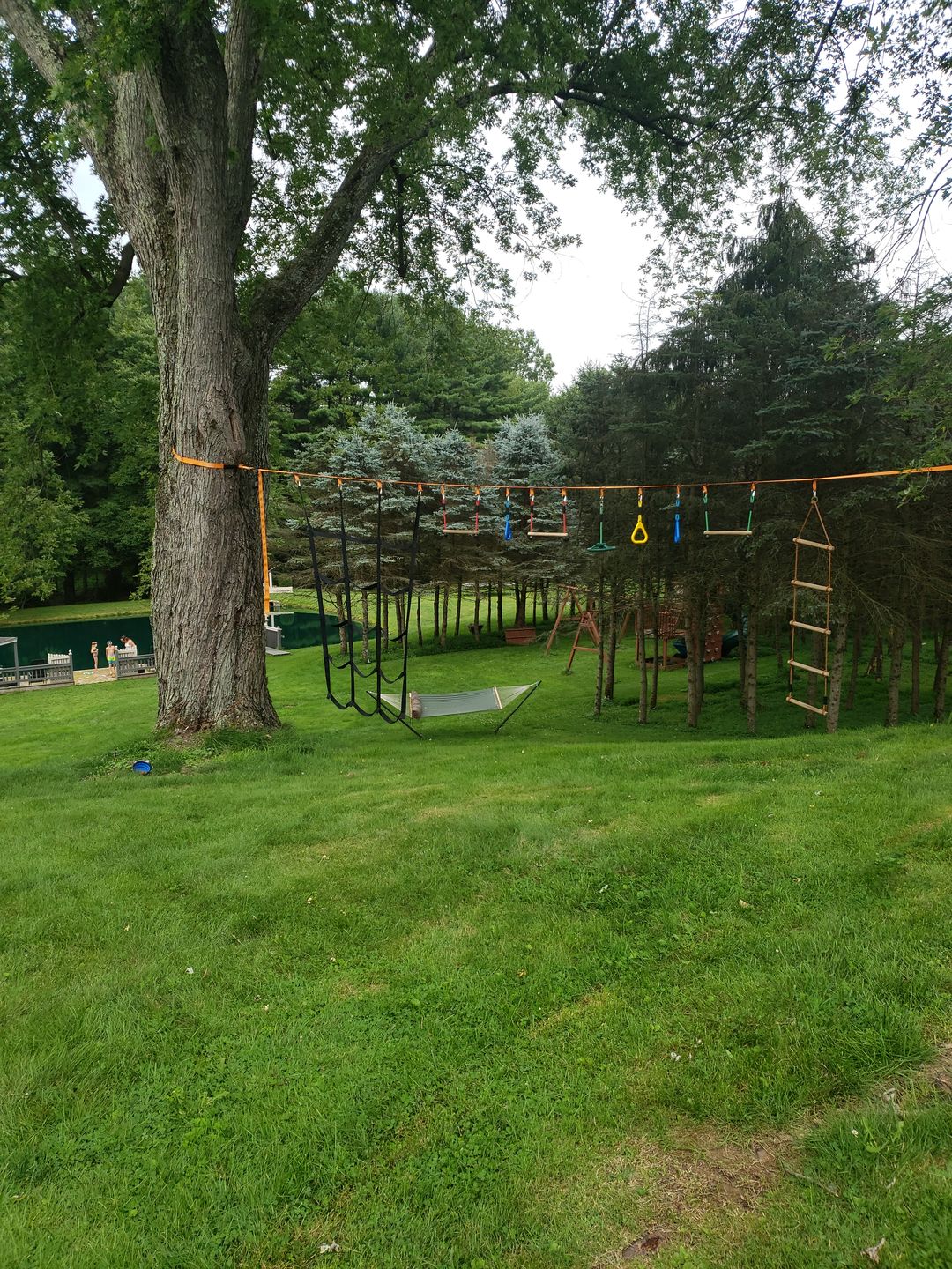 Customer photo review of The Monkey Line