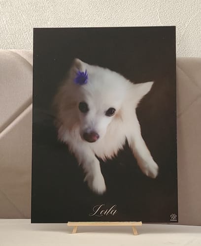 Customer photo review of Öl Pawtrait