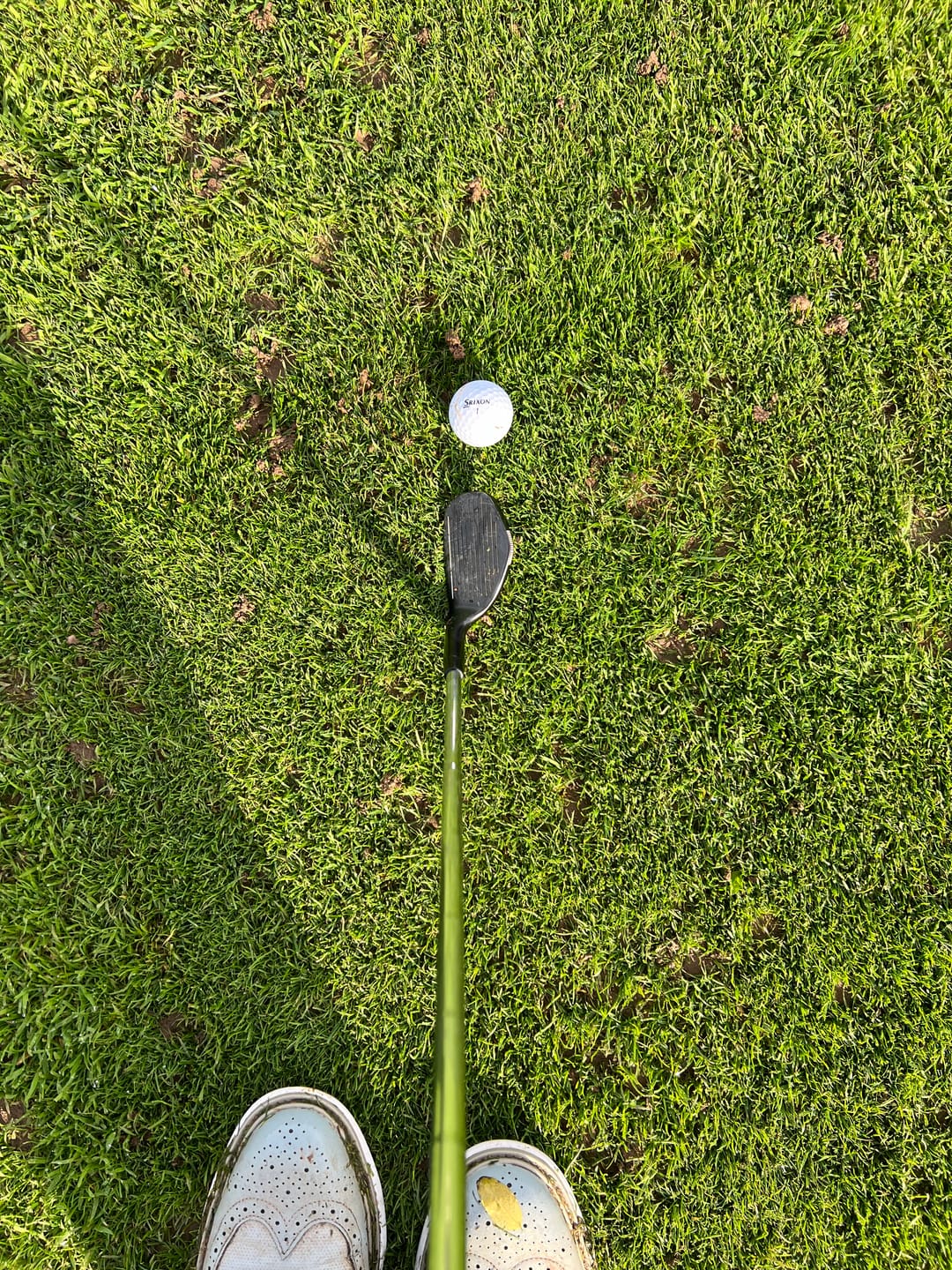 Customer photo review of P3 Pharaoh Wedge | BOGO Deal
