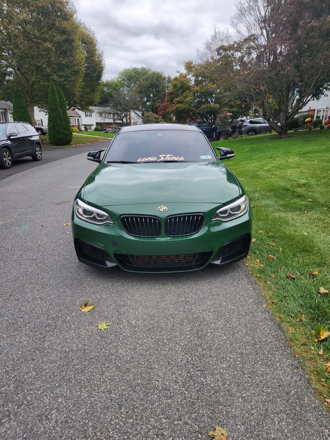 Customer photo review of High Glossy Vintage Racing Green Vinyl Wrap