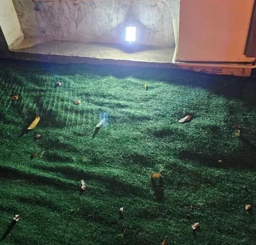Customer photo review of Super Refletor Solar Com Sensor Automático [Compre 1 Leve 3]