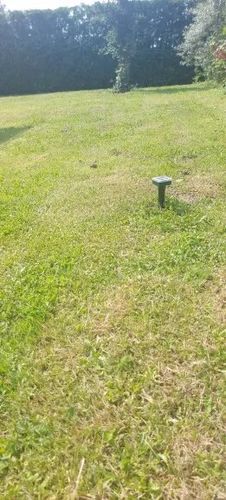 Customer photo review of Repelente Solar Ultra Sônico Espanta Pragas 24 Horas A Prova d'água