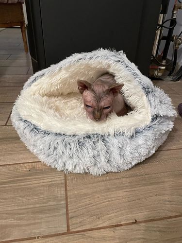 Customer photo review of Burrow Buddy™ - Pet Bed