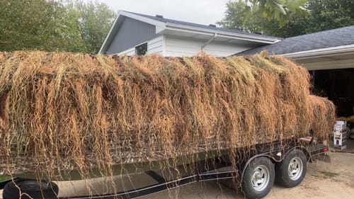 undefined review of Hunting Blind Raffia Grass (Pack) image 1 out of 1