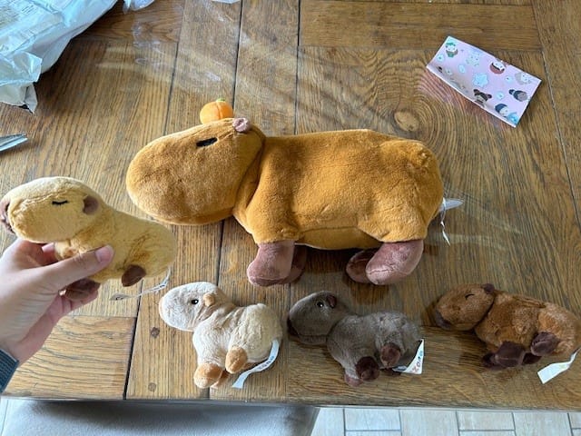 Customer photo review of Le Premier Ensemble de Jeu en Peluche de Famille Capybara pour Bébé