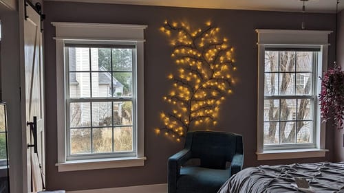 Customer photo review of Enchanted Willow Vine Lights