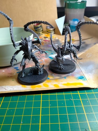 Customer photo review of Tyranids: Lictor