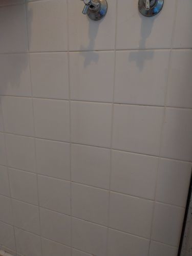 Customer photo review of GLASSGUARD™ Glass Stain & Mould Remover Bundle