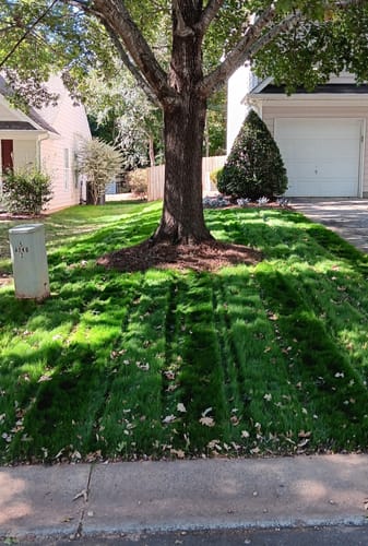 Customer photo review of GCI Turf Spreader Elite Grass Seed