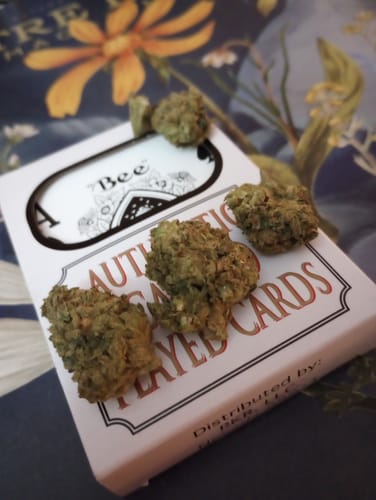 Customer photo review of THCA Flower- Gelato 41
