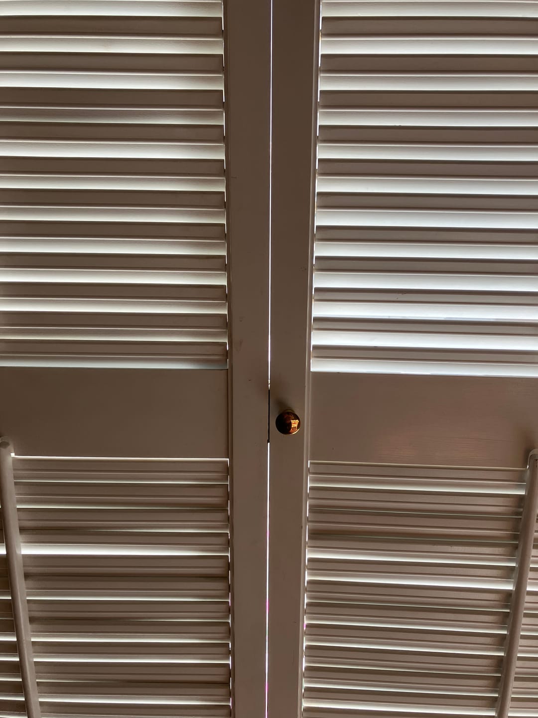 Customer photo review of Classic Polished Brass Cupboard Handles