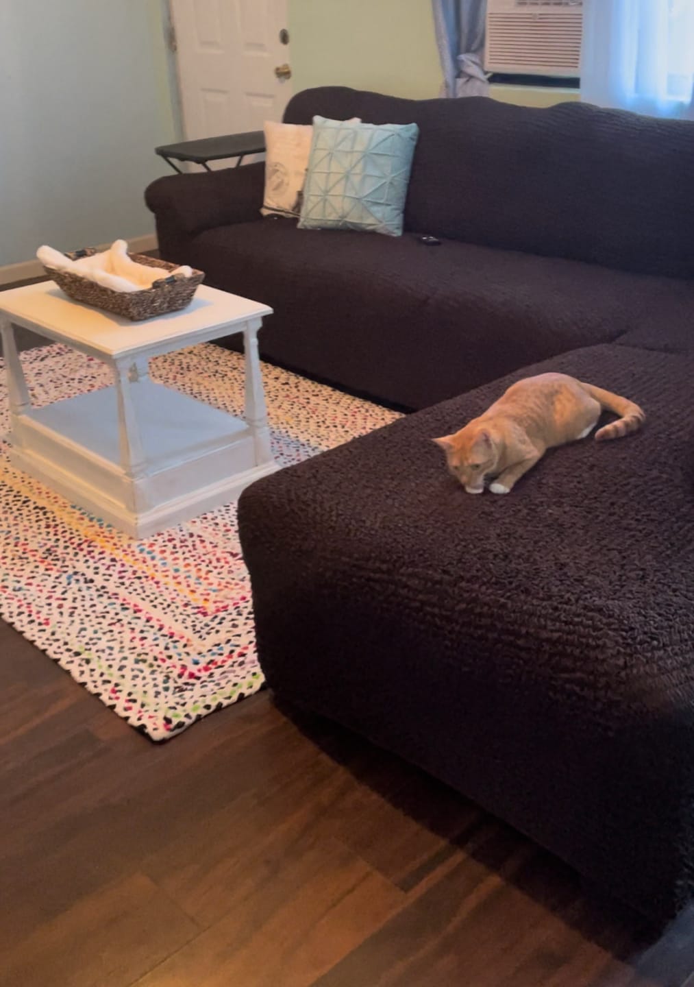 Customer photo review of Fullback Support Sectional Sofa Slipcover (Right Chaise), Comfort Collection