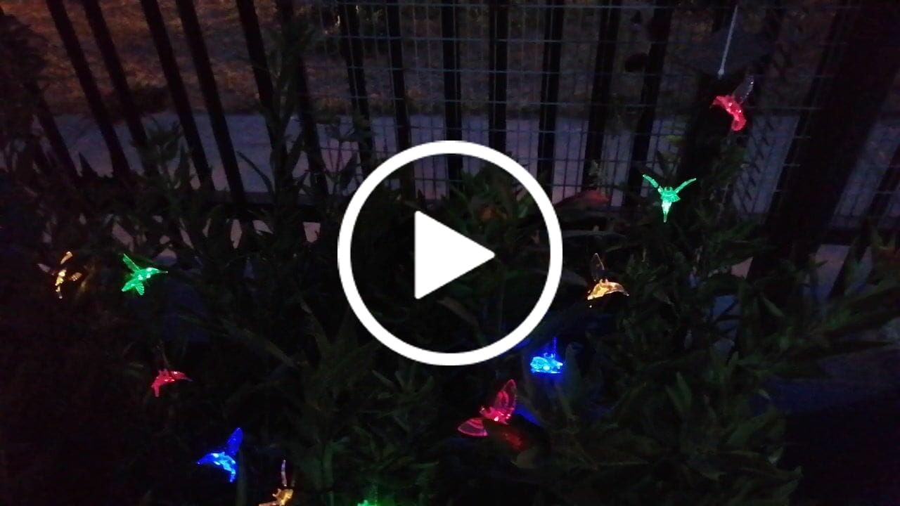 Customer video review of Colibrís Solares - IP65 Luz Cálida/Colores Largo 5 m