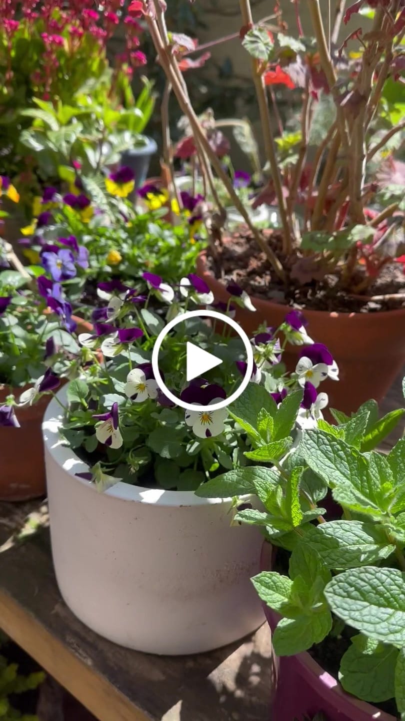 Customer video review of 18" Kamado Ceramic Charcoal Grill With Bonus Accessory Pack