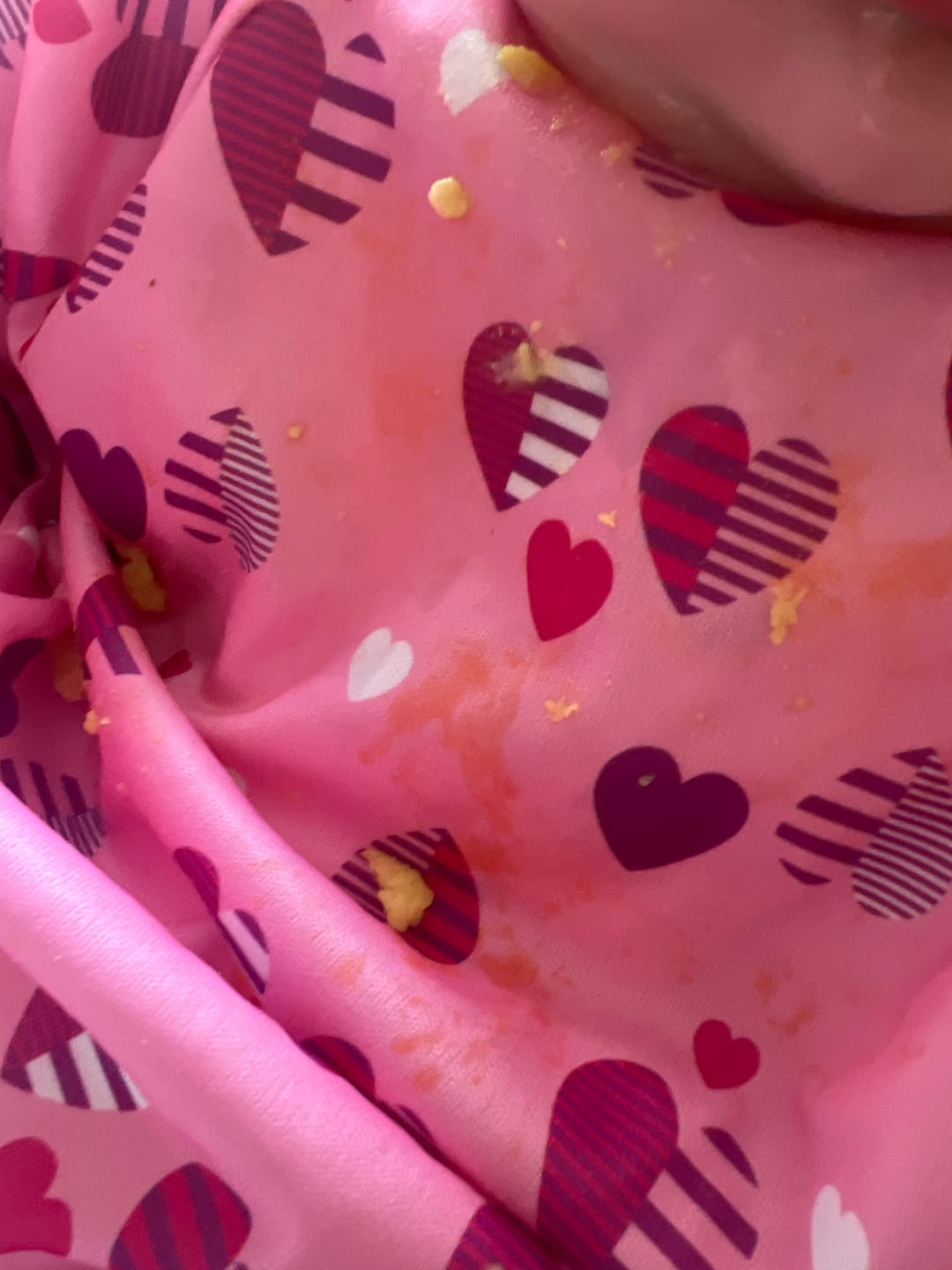 Customer photo review of Cover & Catch Bib