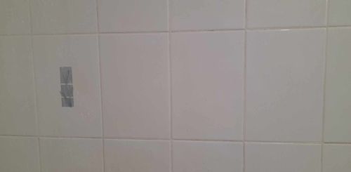 Customer photo review of GLASSGUARD™ Miracle Mould Removal Gel