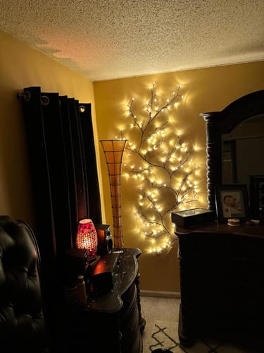 Customer photo review of Enchanted Willow Vine Lights