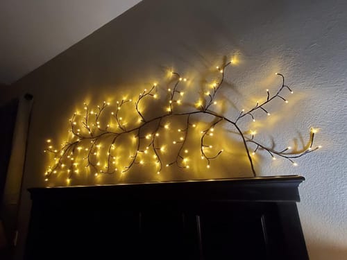 Customer photo review of Enchanted Willow Vine Lights