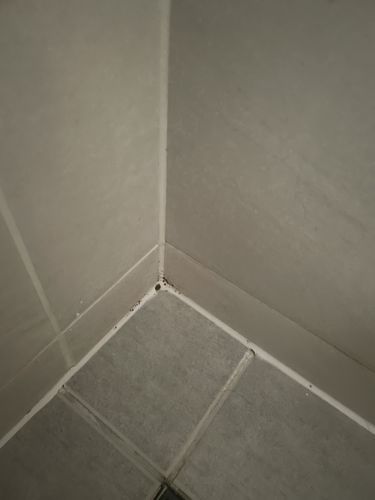 Customer photo review of GLASSGUARD™ Glass Stain & Mould Remover Bundle