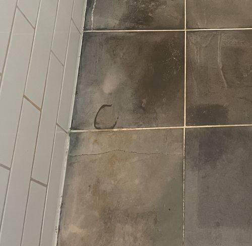 Customer photo review of GLASSGUARD™ Miracle Mould Removal Gel