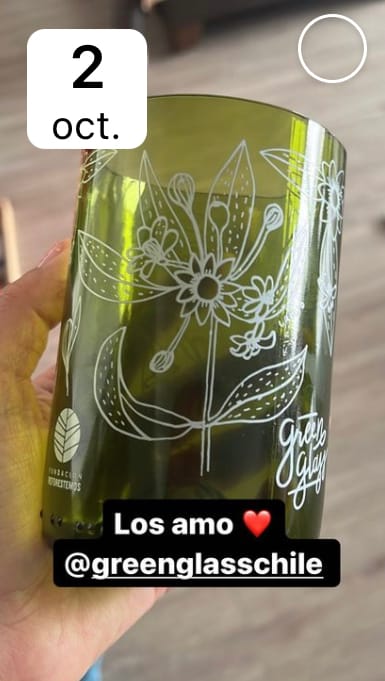 Customer photo review of Reforestemos Juego de 4 Vasos