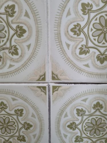 Customer photo review of GLASSGUARD™ Glass Stain & Mould Remover Bundle
