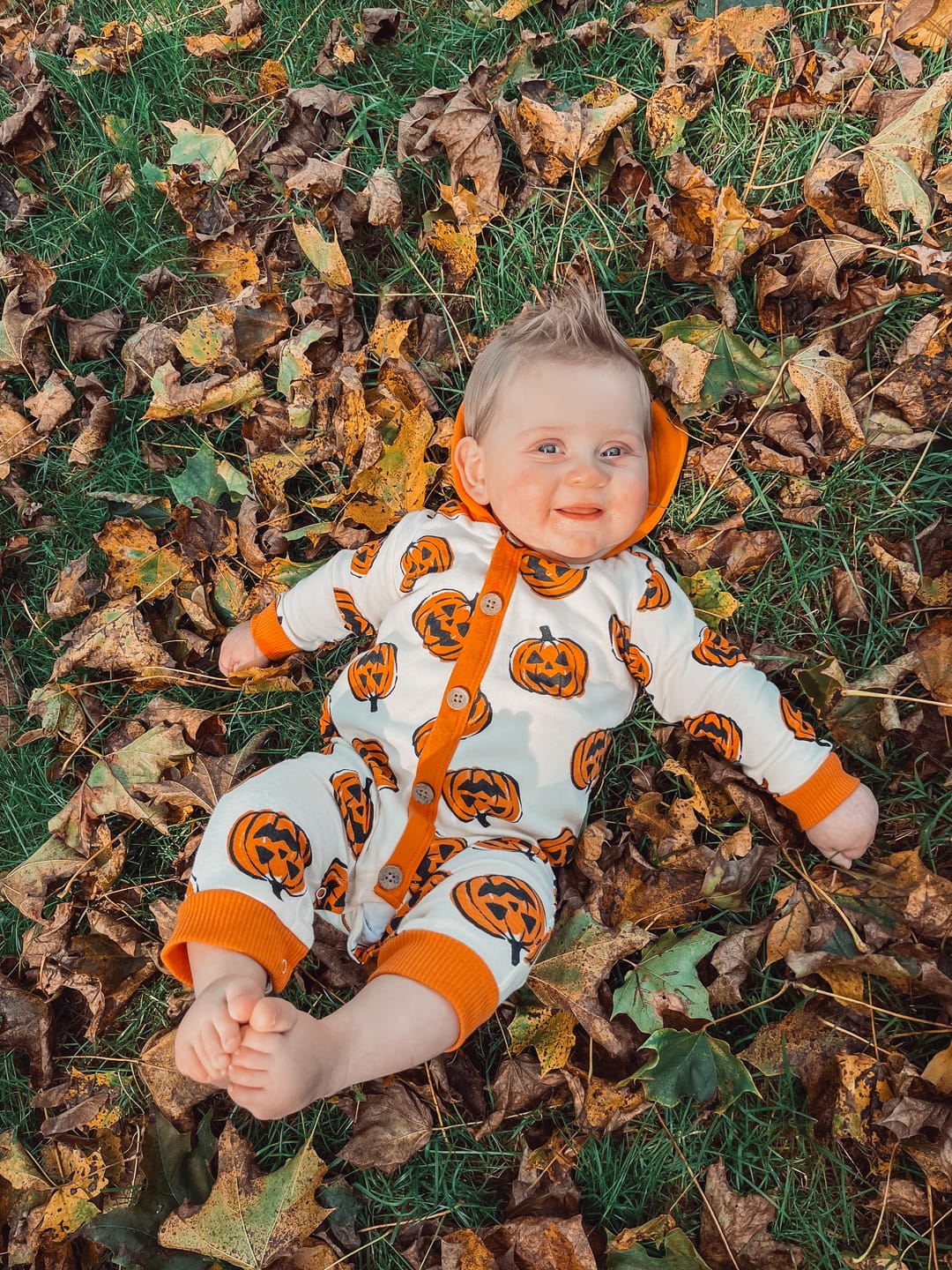 Customer photo review of The Rustic Autumn Preset Collection