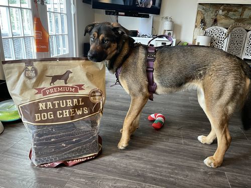 Customer photo review of 12 Inch Beef Jerky Strip