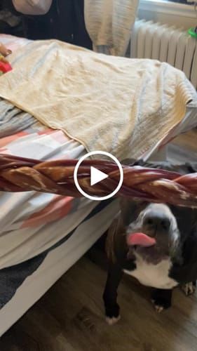 Customer photo review of 12 Inch Braided Jerky Stick