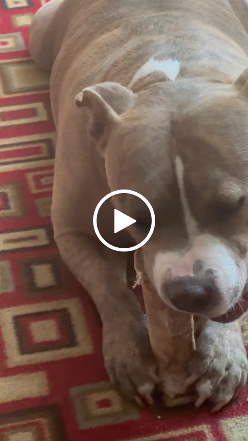 Customer video review of Monster Femur Bone
