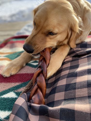 Customer photo review of 12 Inch Braided Jerky Stick