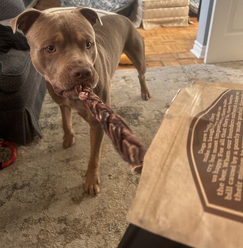 Customer photo review of 12 Inch Braided Jerky Stick