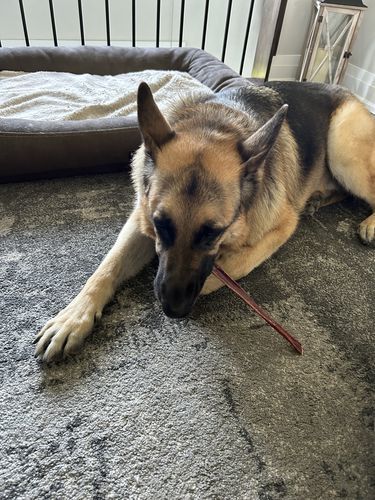 Customer photo review of 12 Inch Beef Jerky Stick