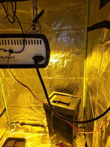 Customer photo review of GowDudes 48'' x 48'' x 80''Grow Tent