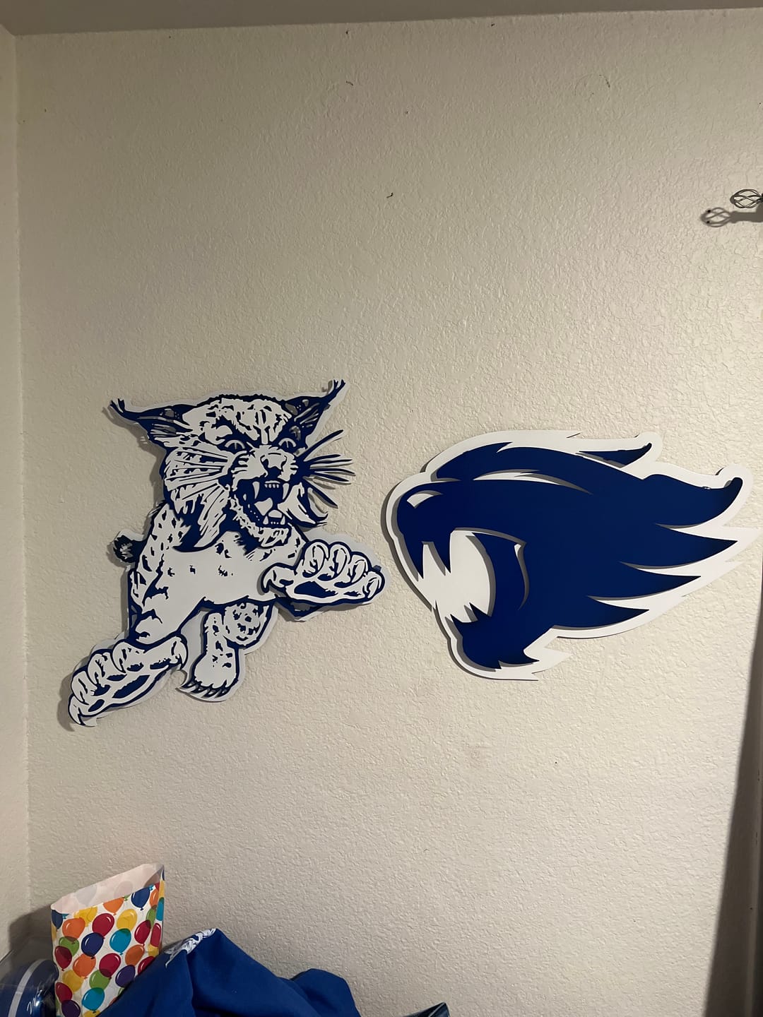 Customer photo review of Kentucky Wildcats "1973" 3D Vintage Metal Wall Art