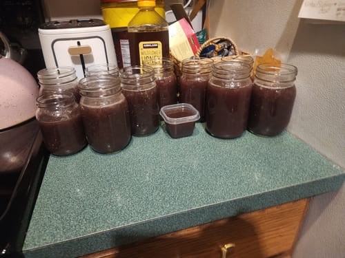 Customer photo review of Raw Royal Purple Sea Moss